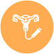 Intrauterine Insemination icon