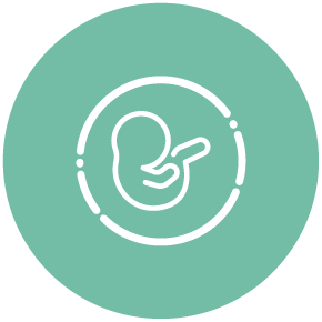 icon of a embryo