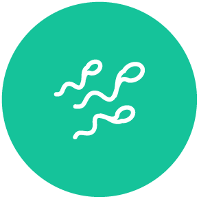 icon of sperm cells
